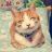 小猫隐身中